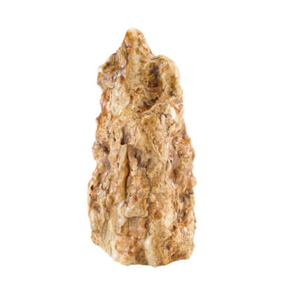 photo-026.png